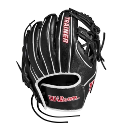 Wilson 10" Infield Baseball Training Glove: WBW100909